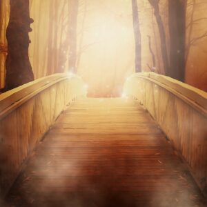 Path Of Power Reiki