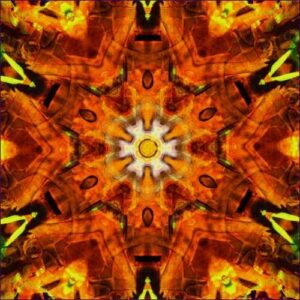 Energetic Clearing Empowerment