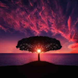 Rising Vibrations Reiki