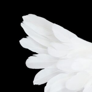 Angel Of Cleansing